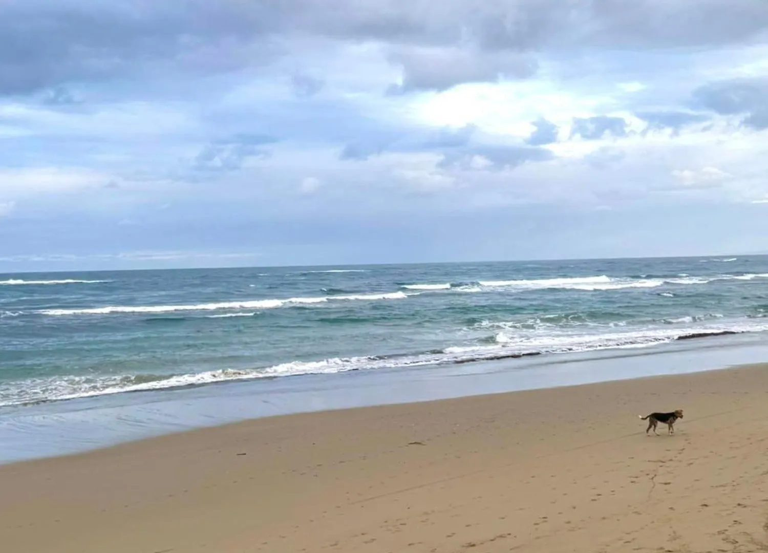 Affordable Beachfront Apartment At Cabarete - Sulis