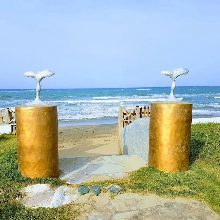 Affordable Beachfront Apartment At Cabarete - Sulis